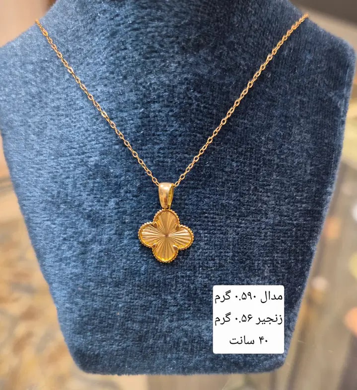زنجیر و پلاک ونکلیف ظریف، تصویر 1